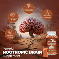 Izkan Mushroom Gummies 1000mg - Lion Mane Mushroom Gummies Supplement Promotes Focus, Memory, and Mood - 60 Count (Mixed Berry Flavor, Halal, Gluten-Free, Vegan) (3)