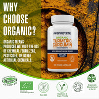 Organic Turmeric Curcumin High Strength and Organic Black Pepper 120 Veg Capsules Advanced Turmeric with Active Ingredient Curcumin Organic Vegan 120 Capsules