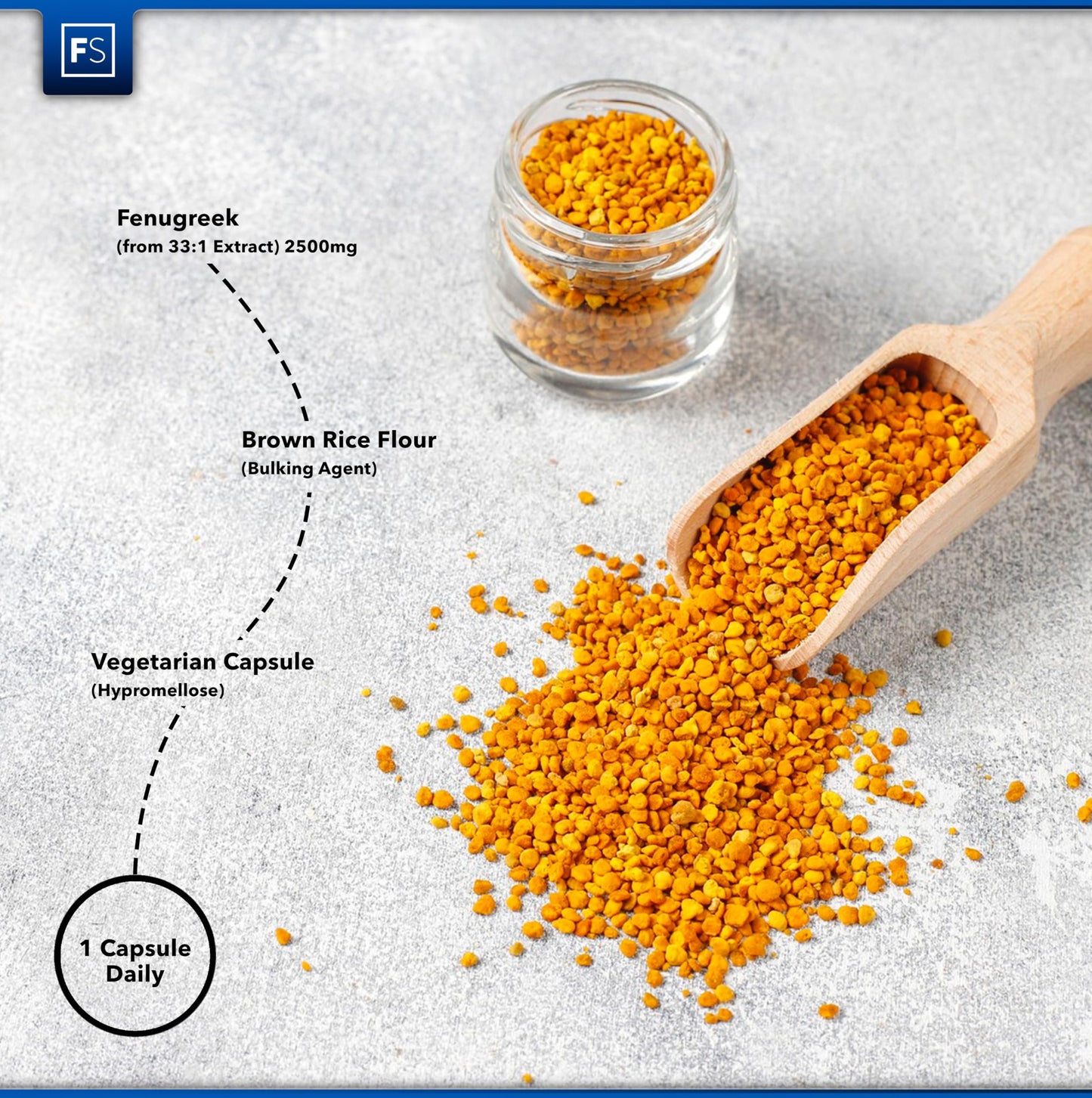 Focus FS Fenugreek | 120 High Strength Fenugreek Capsules - 2500mg (from 33:1 Extract) per Serving | Fenagreek Supplement | Non-GMO, Gluten & Allergen Free | Made in The UK