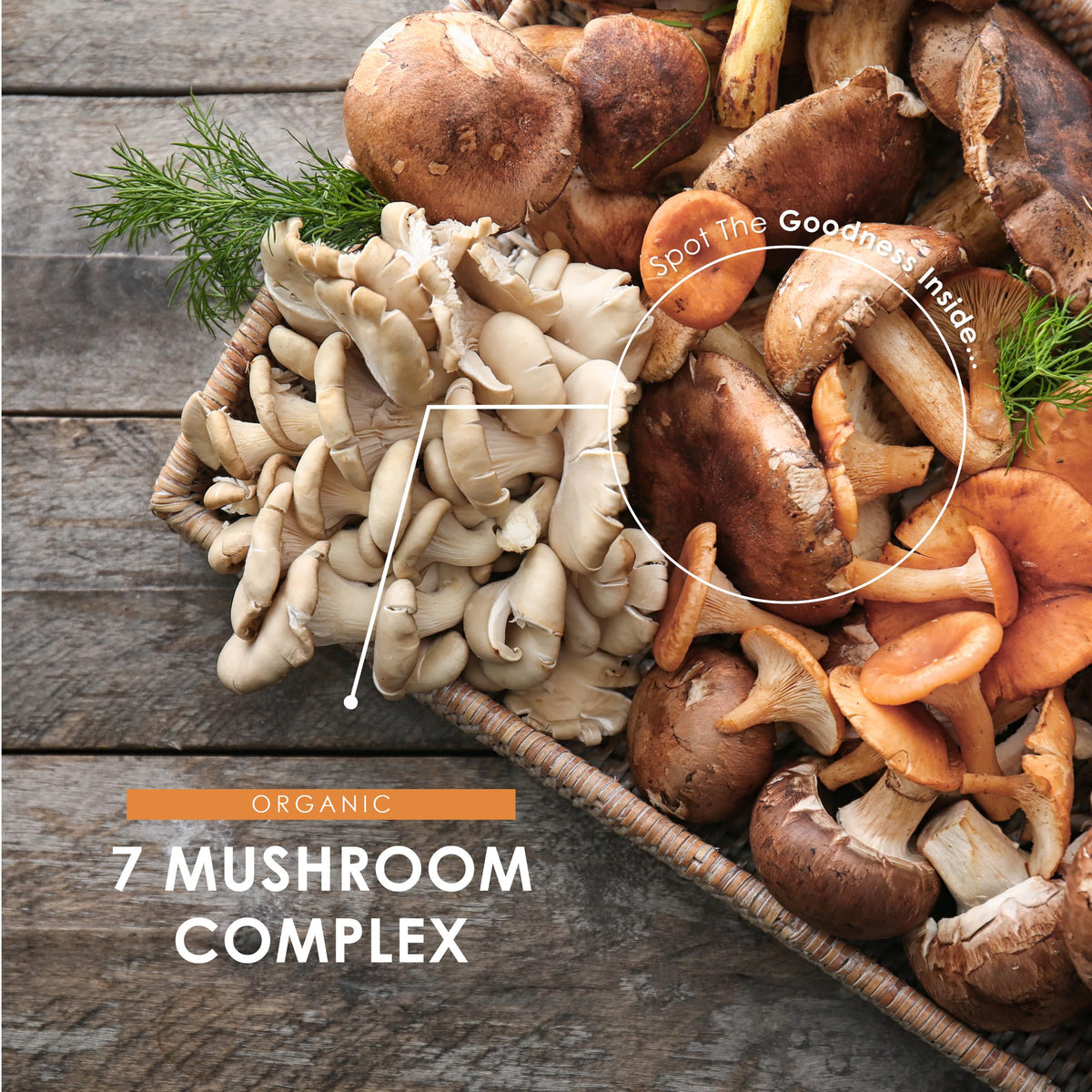 ALPHA01 Organic Mushroom Complex 1575mg - 90 Capsules - Reishi, Cordyceps, Lion's Mane, White Fungus, Maitake, Shitake & Chaga (1 Month Supply) by Alpha01