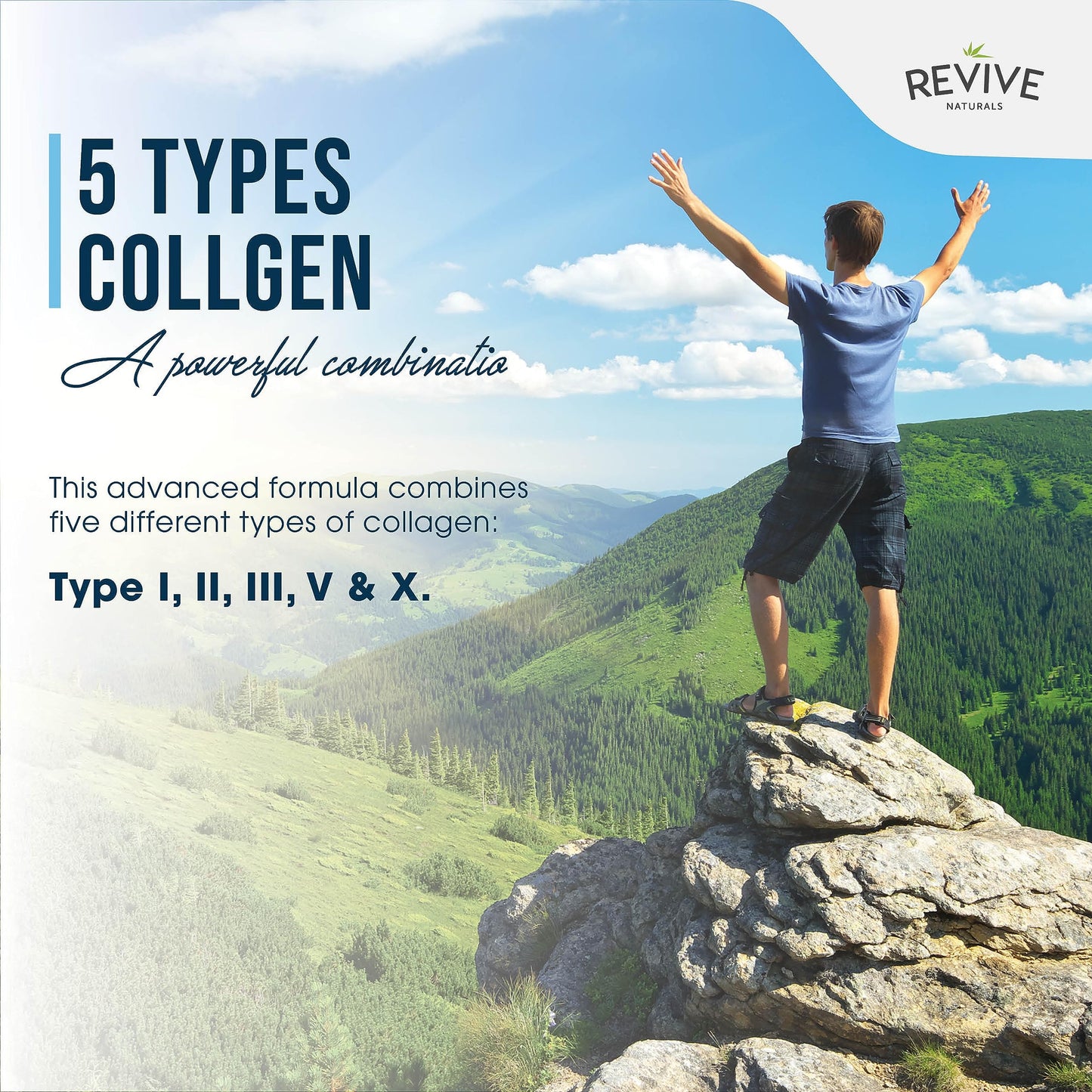 Revive Naturals Multi Collagen Protein Powder (200g) - Types I, II, III, V & X - Hydrolyzed Grass Fed Bovine, Wild Caught Fish, & Free-Range Chicken & Eggshell Collagen (10 Day Supply)