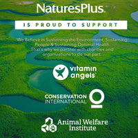 Nature's Plus NaturesPlus Bio Advanced Liver Complex - Liver Supplement with Turmeric, Artichoke, Milk Thistle, Dandelion, Choline, Methyl B12, Folate, VIT C - Gluten, Dairy, Soy Free - Vegan, 60 Capsules