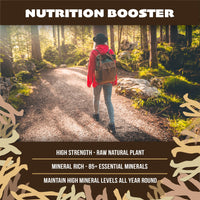 Ashwagandha, Lion's Mane, Bacopa Monnieri Capsules - Supports a Calm and Balanced Mind, Cognitive Function, and Mental Clarity - 180 Capsules - 3 Month Supply - Vegan, Non-GMO, 100% Natural