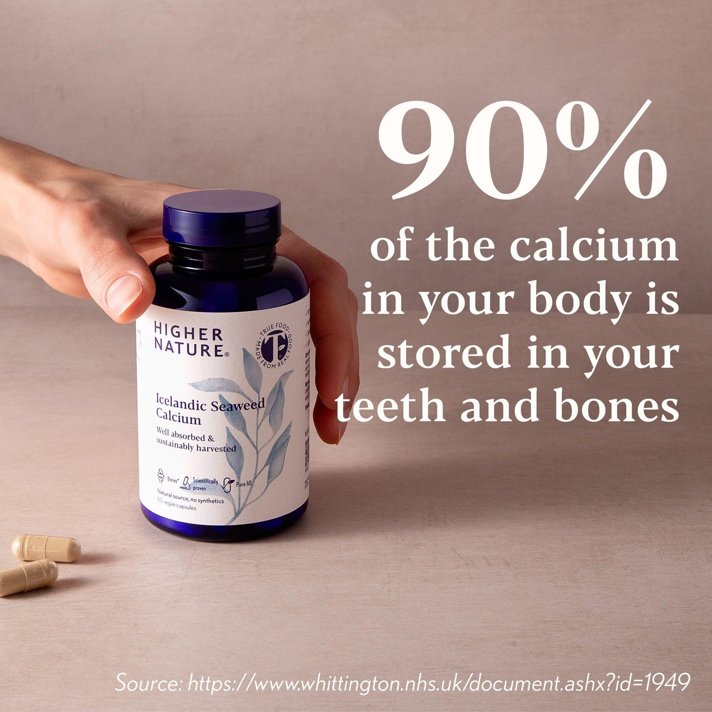 HIGHER NATURE Higher Nature - Icelandic Seaweed Calcium - True Food® - 260mg Natural Source - Clinically Proven Calcium Supplement - Supports Bones, Teeth & Digestive Enzyme Function - Dairy Free - 60 Capsules