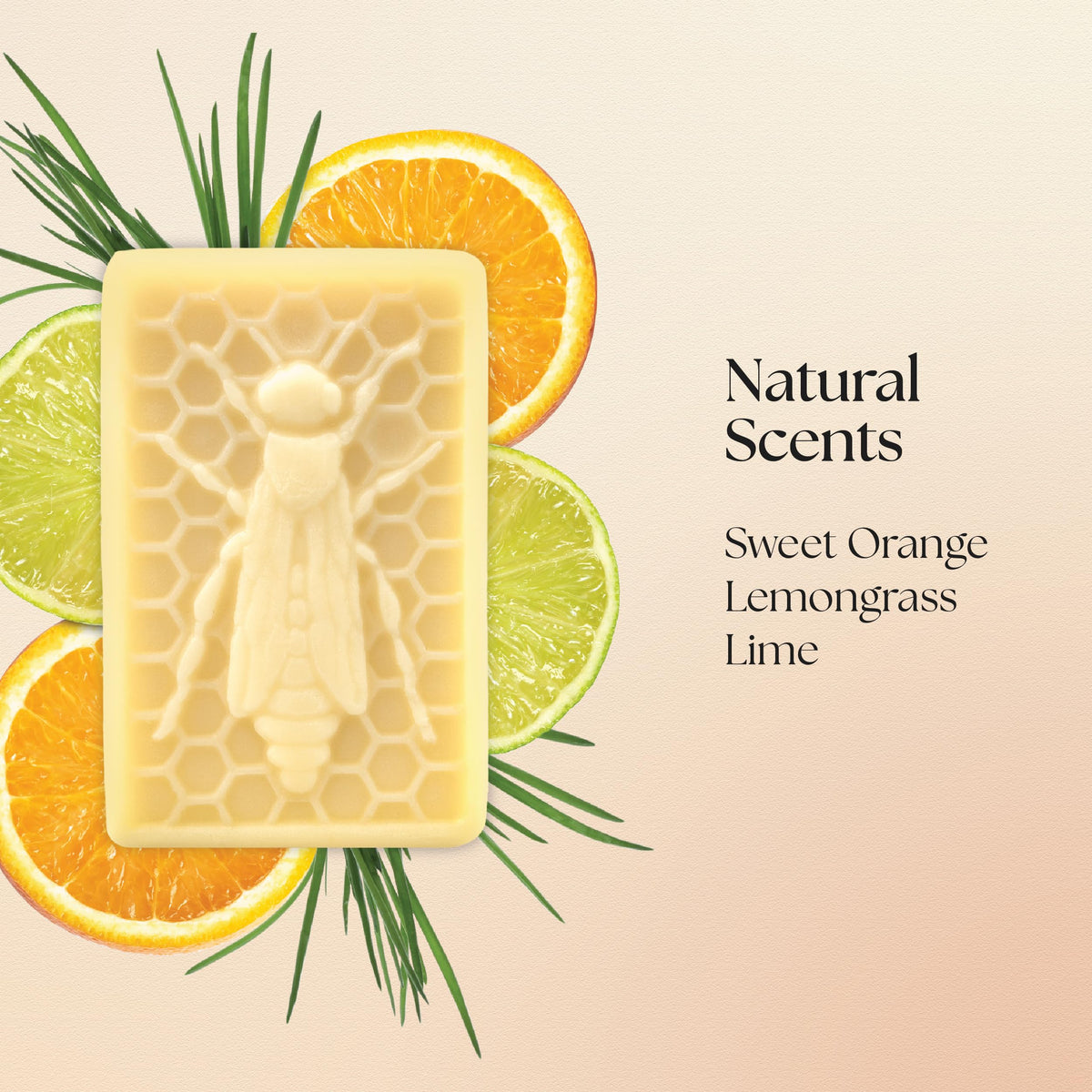 The Edinburgh Natural Skincare Company Ltd. Queen Bee Eco-Refill Luxury Solid Hand Cream Bar – 100% Natural Moisturiser for Very Dry Hands | With Beeswax, Cocoa Butter & Coconut Oil | 50g | Packaging May Vary