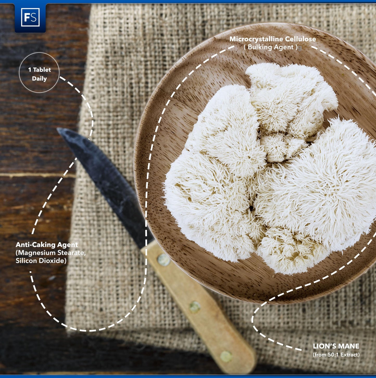 FS Lions Mane | 120 Lion's Mane Tablets - 2000mg Lions Mane per Serving | Lions Mane Supplement High Strength Mushroom Supplement | Non-GMO, Gluten & Allergen Free | Made in The UK