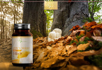 Hey Natural HN Lions Mane | 90 Lions Mane Capsules 1000mg per Serving - High Strength Supplement Mushroom Complex | Lion's-Mane Mushroom Supplement | Non-GMO, Gluten & Allergen Free | Made in the UK