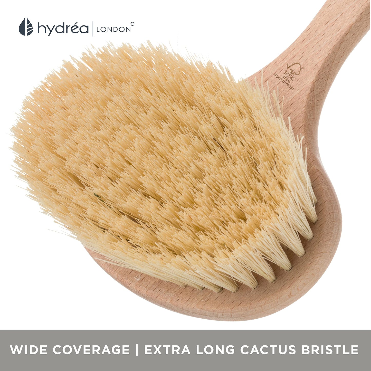Hydrea London Dry Body Brush Vegan – Premium Exfoliating Skin Brush with Extra Long Cactus Bristle, Dry Brush Cellulite Remover, Exfoliating Body Scrubber, FSC® Certified Beechwood.