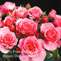 Feelia - Organic Damask Rose Hydrosol Water, Steam Distilled, Pure & Natural Toner, All Skin Types, Hydrates The Skin & Hair, Balances Skin pH & Moisturise (Rose)