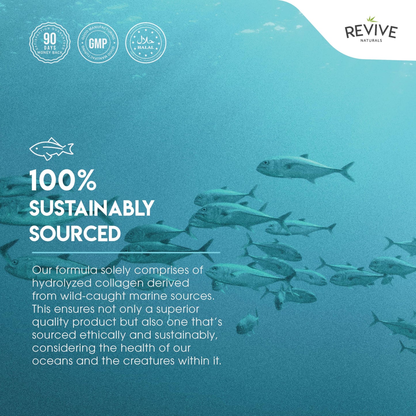 Marine Collagen Capsules 2400mg - Collagen Tablets with Hyaluronic Acid & Vitamin C - High Strength Collagen Supplements for Women & Men - 90 Capsules - Premium Collagen Complex for Skin Joints Hair