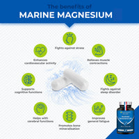 Laboratoires Nutrimea Marine Magnesium Supplement - with Vitamin B6-120 Capsules - GMO-Free - Gluten Free - Lactose Free - Easy to Swallow Capsules - French Expertise - Nutrimea