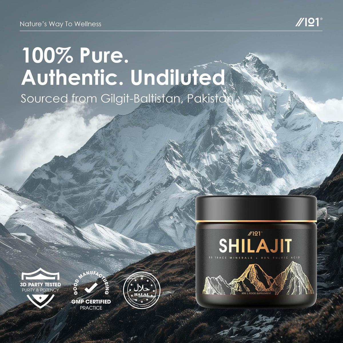 ALPHA01 Himalayan Shilajit Resin 50g – Gold Grade 100% Pure Gilgit-Baltistan Source – Rich in 80% Fulvic & Humic Acid, Minerals – by Alpha01