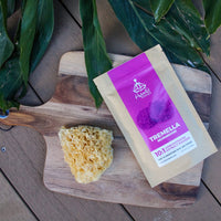 HYBRID HERBS – ORGANIC TREMELLA MUSHROOM | 10:1 Extract Powder | Anti Aging Supplement for Beauty & Skin | Rich in Antioxidants, Beta Glucans, Vitamin D & Prebiotic Fibre | 113 Servings (113g)