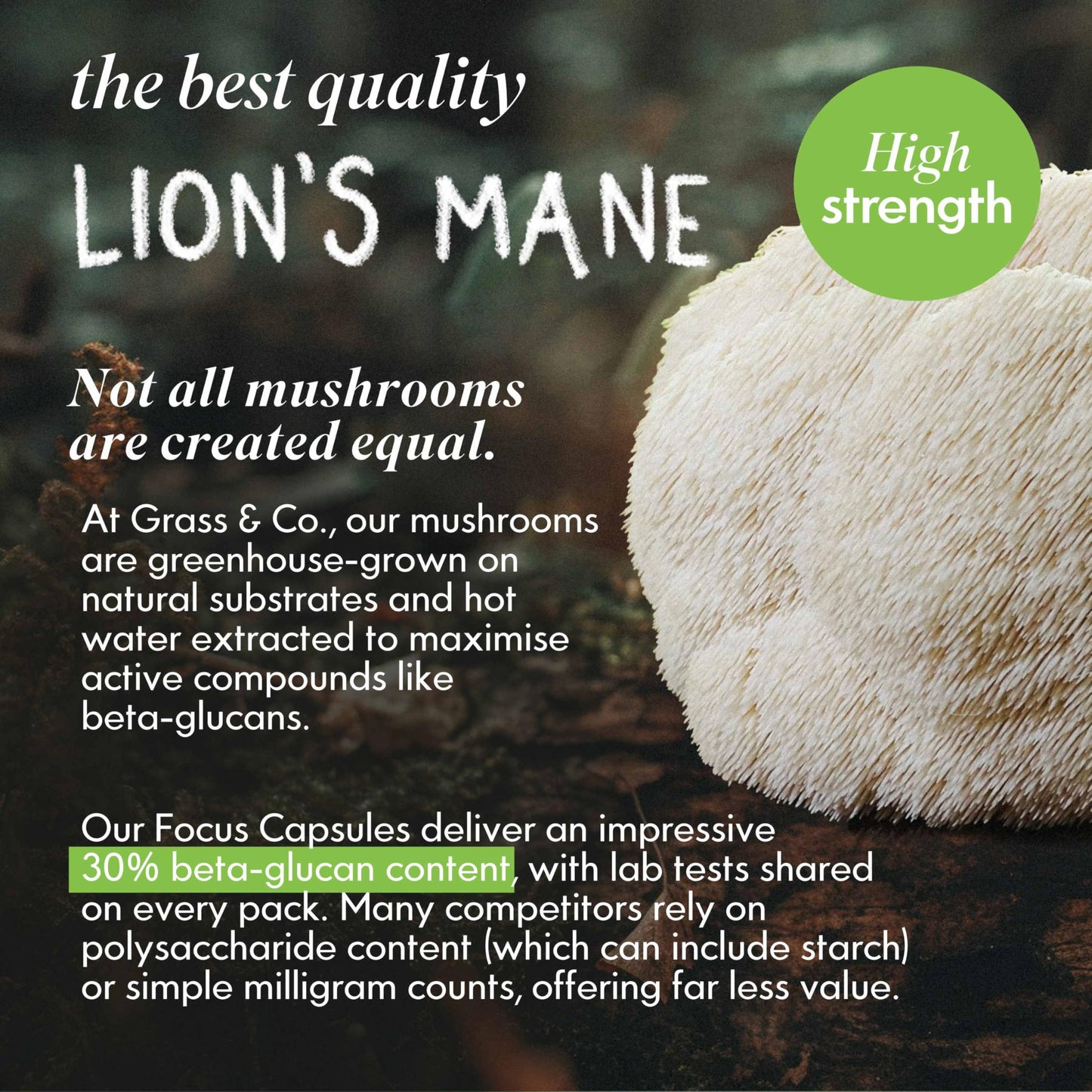 Grass & Co. Lions Mane Supplement Mushroom 600mg Capsules with Vitamin D, Vegan Omega 3, Vitamin B12 & Ginseng for Focus and Cognitive Health Support, 60 Capsules, 30 Servings