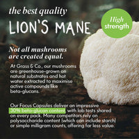 Grass & Co. Lions Mane Supplement Mushroom 600mg Capsules with Vitamin D, Vegan Omega 3, Vitamin B12 & Ginseng for Focus and Cognitive Health Support, 60 Capsules, 30 Servings