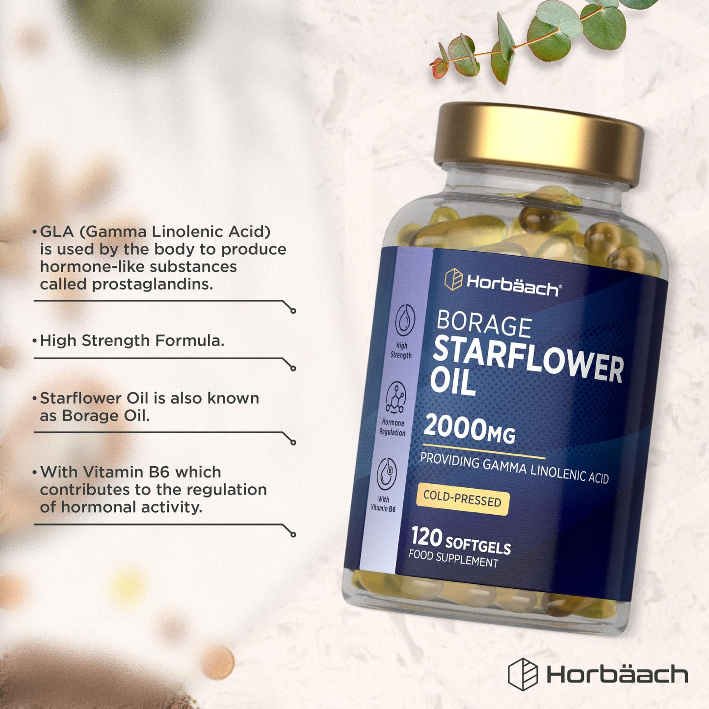 Horbäach Starflower Oil Capsules 2000mg | High Strength GLA | Cold-Pressed Borage Oil with Vitamin B6 | Natural Source of Omega-6 | 120 Softgels | by Horbaach