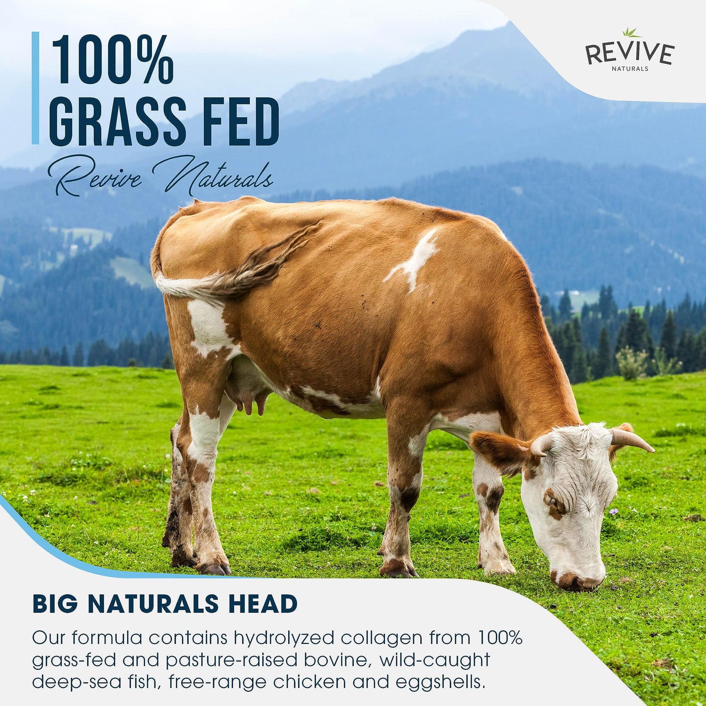 Revive Naturals Multi Collagen Protein Powder (200g) - Types I, II, III, V & X - Hydrolyzed Grass Fed Bovine, Wild Caught Fish, & Free-Range Chicken & Eggshell Collagen (10 Day Supply)