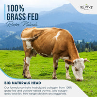 Revive Naturals Multi Collagen Protein Powder (200g) - Types I, II, III, V & X - Hydrolyzed Grass Fed Bovine, Wild Caught Fish, & Free-Range Chicken & Eggshell Collagen (10 Day Supply)