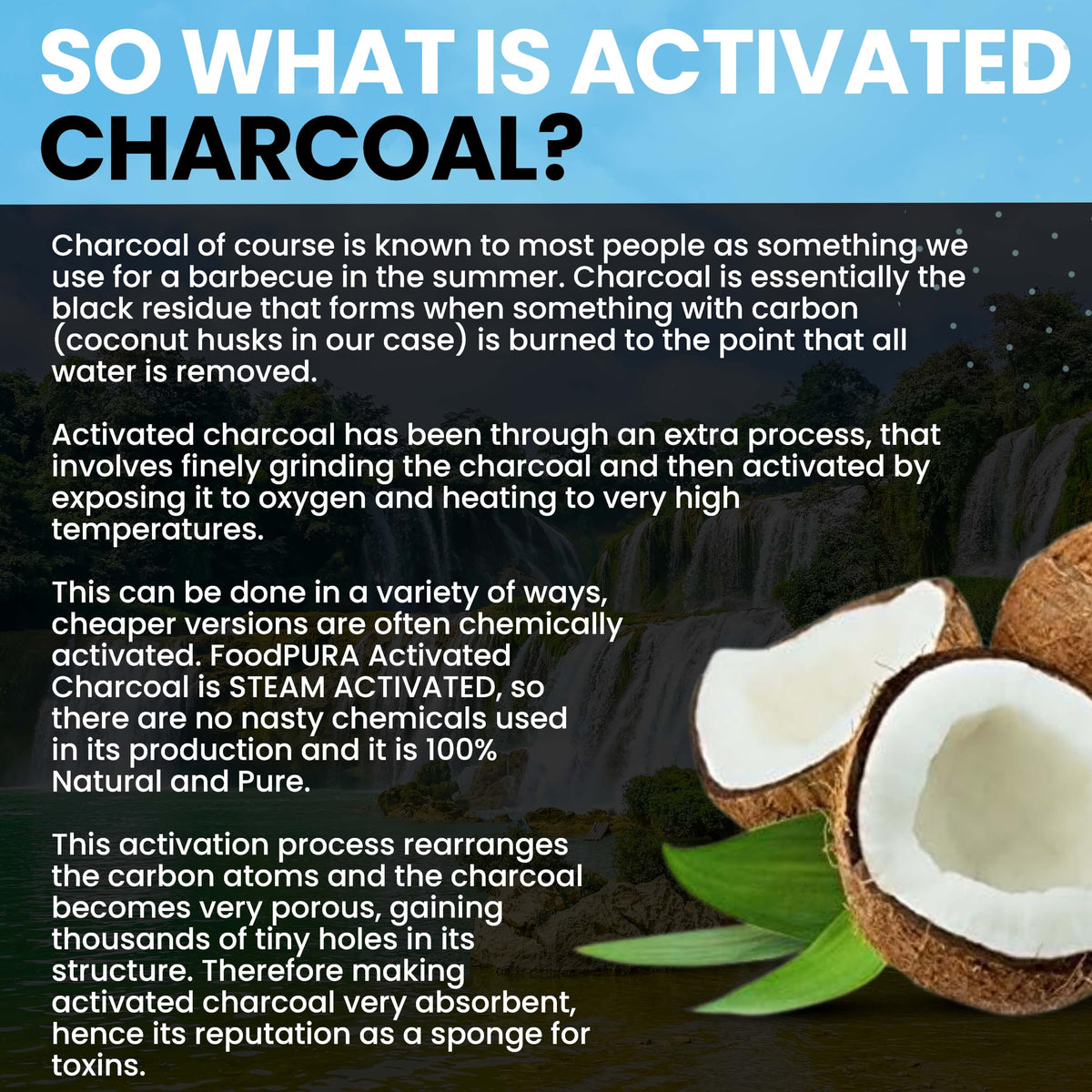 FoodPURA Coconut Activated Charcoal Capsules 1500mg x 180 100% Natural Vegan Digestive Supplement Reduces Bloating & Flatulence After Eating (180)