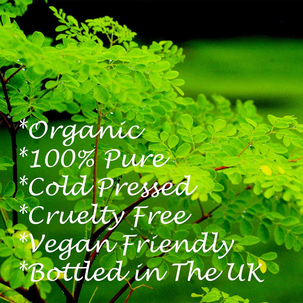 Feelia - Organic Moringa Oil - Cold Pressed, Moisturizing, Rich in Vitamins & Nutrients, High in Vitamin C, Great for Skincare, 100% Pure & Organic - 100ml