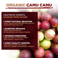 MySuperfoods Organic Camu Camu Powder 200g, Natural Wholefood Vitamin C Source