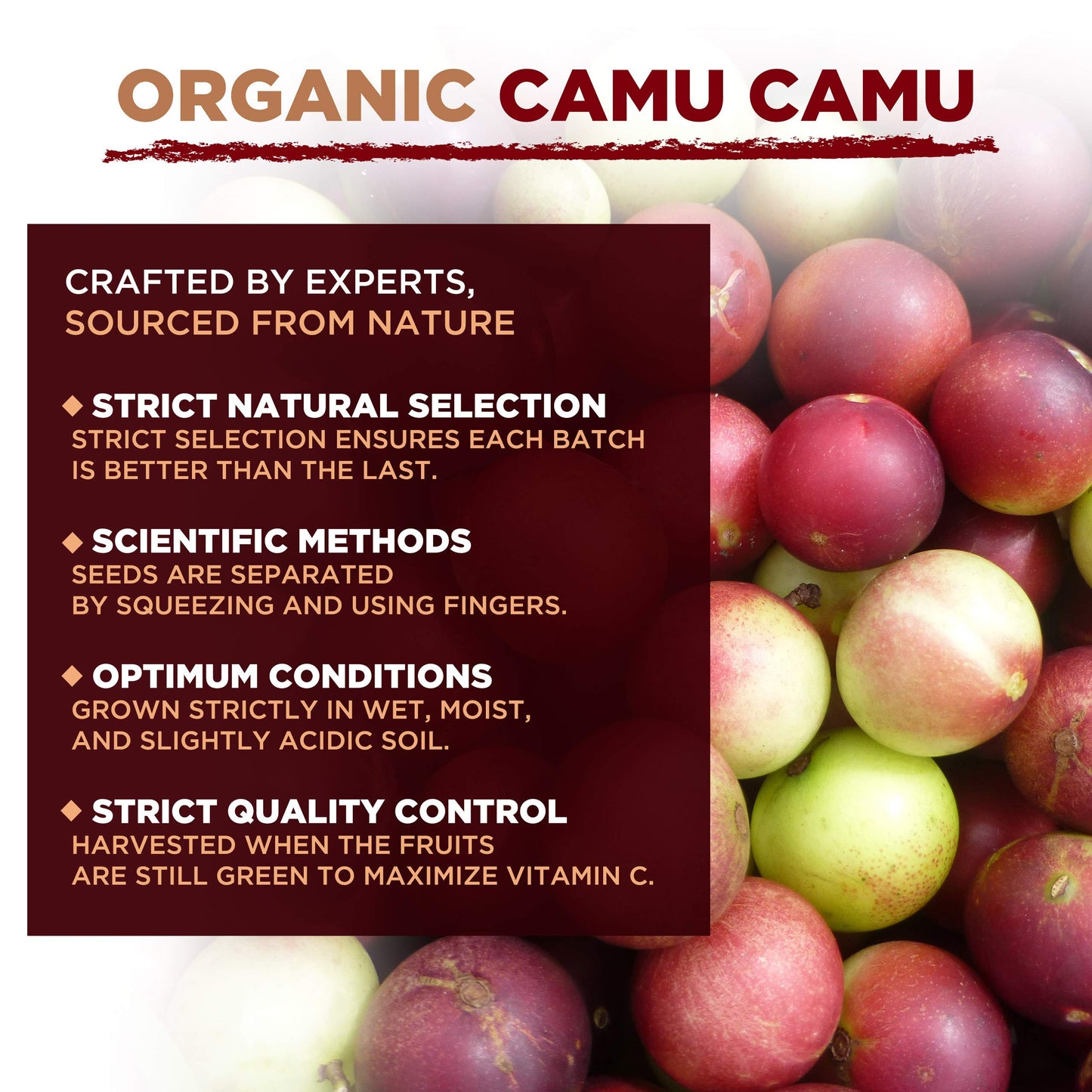 MySuperfoods Organic Camu Camu Powder 500g, Natural Wholefood Vitamin C Source