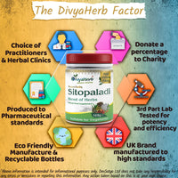 Aushadh DivyaHerb Sitopaladi Powder 100grm, Natural, (Pack of 1)
