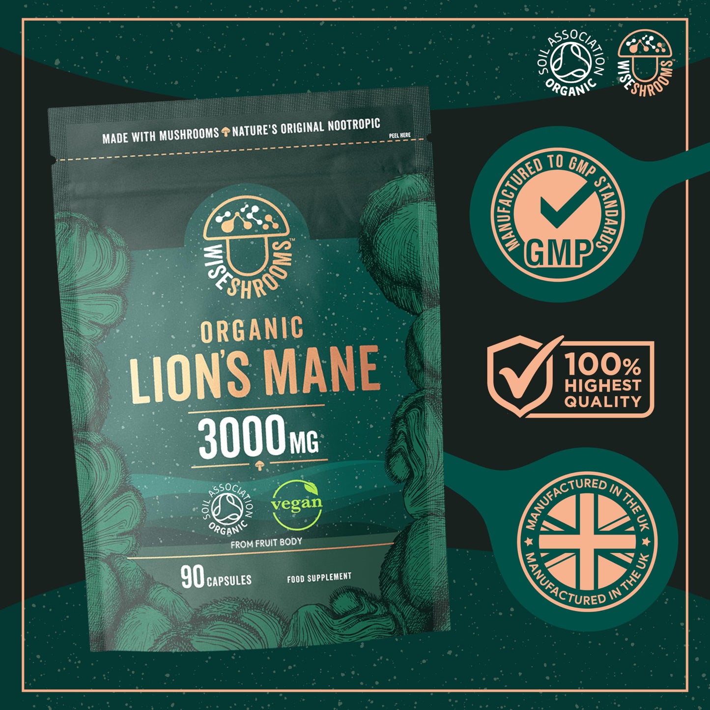 Lions Mane Supplement 3000mg | Organic | High Strength Mushroom Supplement | from Fruit Body | 90 Vegan Capsules | by Wiseshrooms