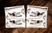 Tattoocrew 4 x Halloween Tattoos Skull Sticker for Face