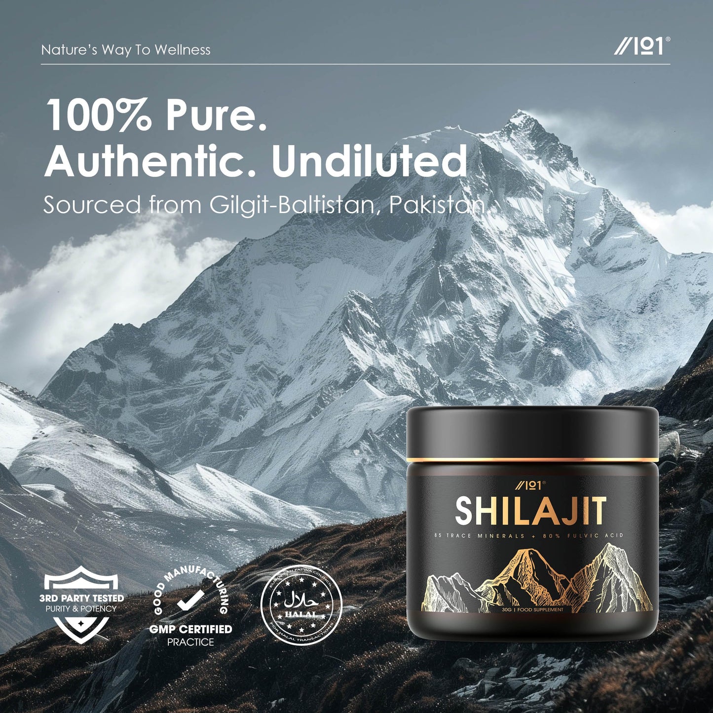 ALPHA01 Himalayan Shilajit Resin 30g – Gold Grade 100% Pure Gilgit-Baltistan Source – Rich in 80% Fulvic & Humic Acid, Minerals – by Alpha01