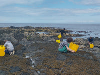 Irish Sea Moss Seaweed Capsules (chrondrus crispus) Certified Organic Harvested in The North Atlantic Coast of Ireland