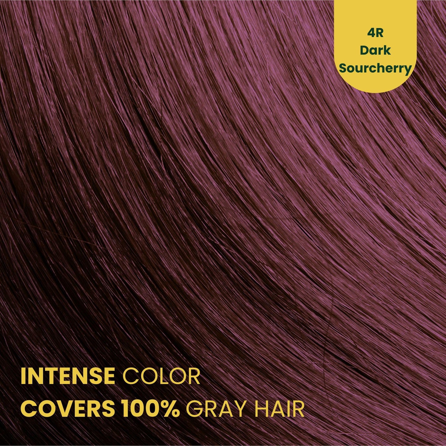 Herbal Time Phytocare Permanent Hair Dye Color Dark Sour Cherry 4R | Professional Natural Hair Dye Kit | Nourish and Protect Your Hair | Ammonia, PPD and SLS Free | 124.5 ml