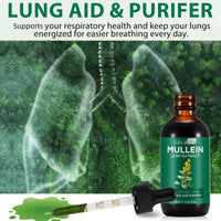 Tamiodfo Mullein Drops, Mullein Leaf Extract Herbal Supplements Drops for Fast Absorption