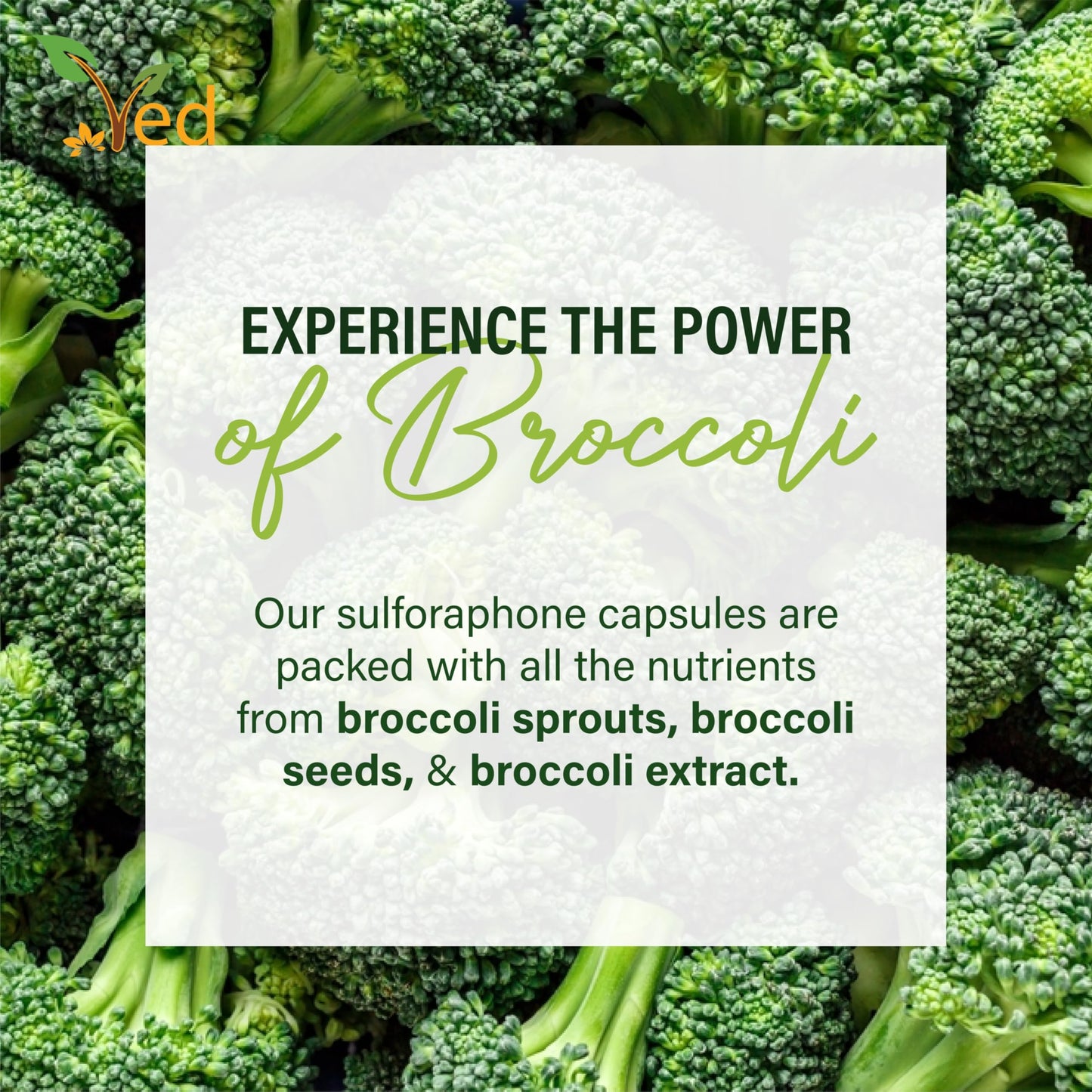 VED Ved Broccoli Sulforaphane, Broccoli Powder Rich in Vitamins and Minerals, 550 mg 90 Capsules (45 Days supplys)