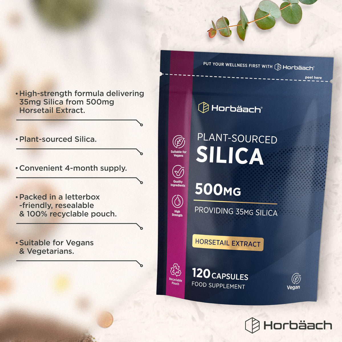 Horbäach Silica Supplement 500mg | High Strength Silica from Horsetail Extract | 120 Powder Capsules | Vegan | 4 Month Supply | by Horbaach