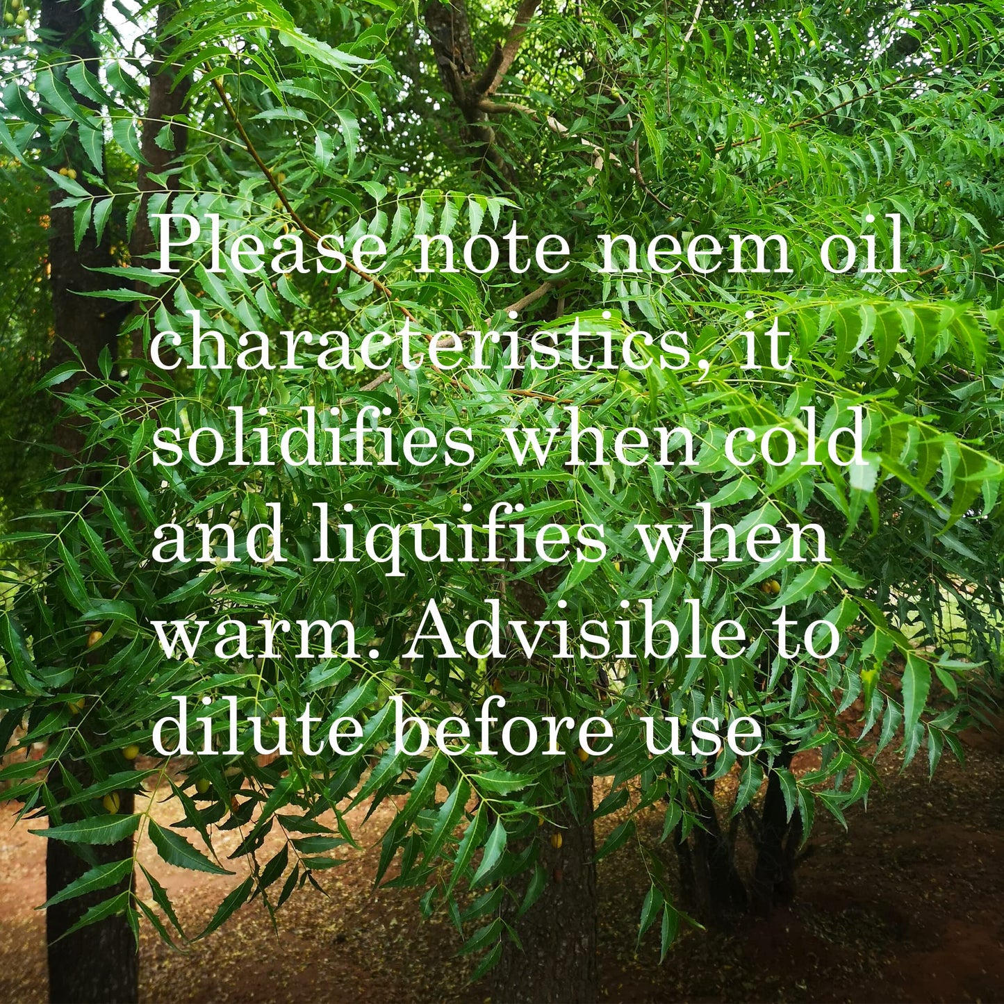 Feelia - Organic Neem Oil - Cold pressed, Rich in Vitamin E & Antioxidants, Repairs & Nourish, 100% Pure & Organic - 100ml