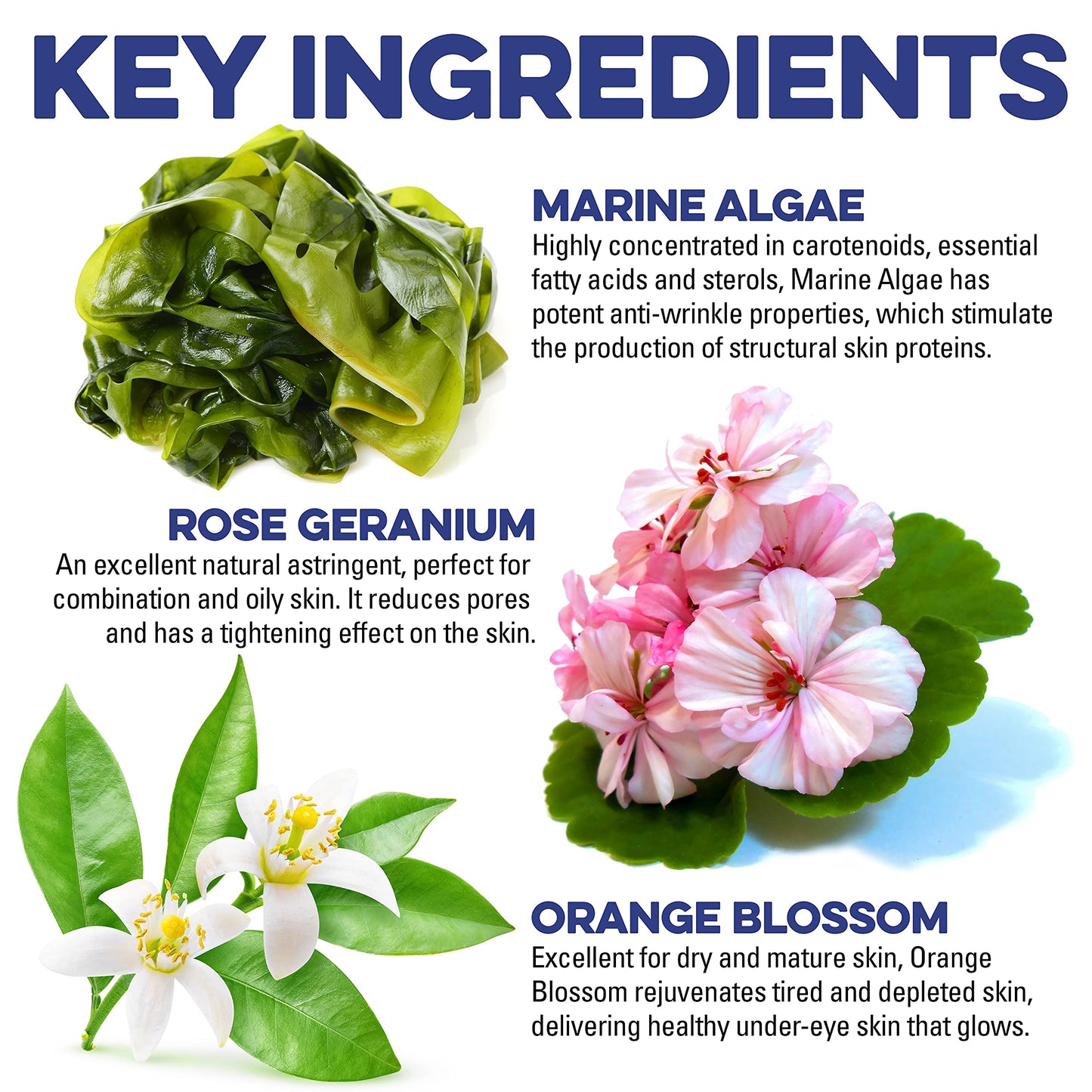 TRADEMARK GNARLY JOE EST.MMXVII Gnarly Joe Eye Serum for Men - 10ml - Hyaluronic Gel With Cooling Rollerball Applicator - Rejuvenates Tired Eyes, Puffiness and Dark Circles - Eye Bags Remover - Mens Eye Roll On - Mens Eye Serum