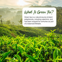 Zipvit Green Tea Extract 7000mg Antioxidant, 95% Polyphenols. 90 Vegan Green Tea Tablets. 3 Months Supply.