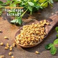 Organic Fenugreek Extract 7500mg - 90 Capsules (V) - High Strength 20% Saponins (100mg) Fenugreek Supplement - 3 Months Supply - by Alpha01