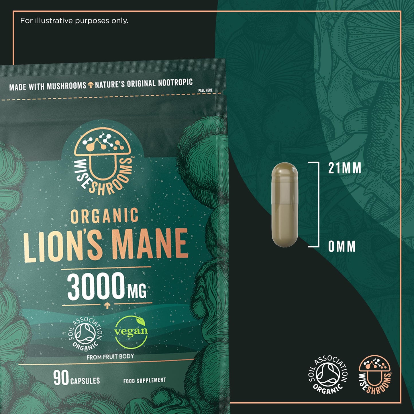 Lions Mane Supplement 3000mg | Organic | High Strength Mushroom Supplement | from Fruit Body | 90 Vegan Capsules | by Wiseshrooms
