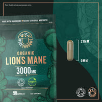 Lions Mane Supplement 3000mg | Organic | High Strength Mushroom Supplement | from Fruit Body | 90 Vegan Capsules | by Wiseshrooms