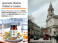 DR WAKDE's DR WAKDE’S Haritaki Capsules (Terminalia chebula/Hirda) | 60 Veg Caps | Ayurvedic Supplement | Vegan | 100% Herbal | Quantity Discounts