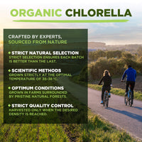 MySuperfoods Organic Chlorella Powder (500g), Natural Source of Protein