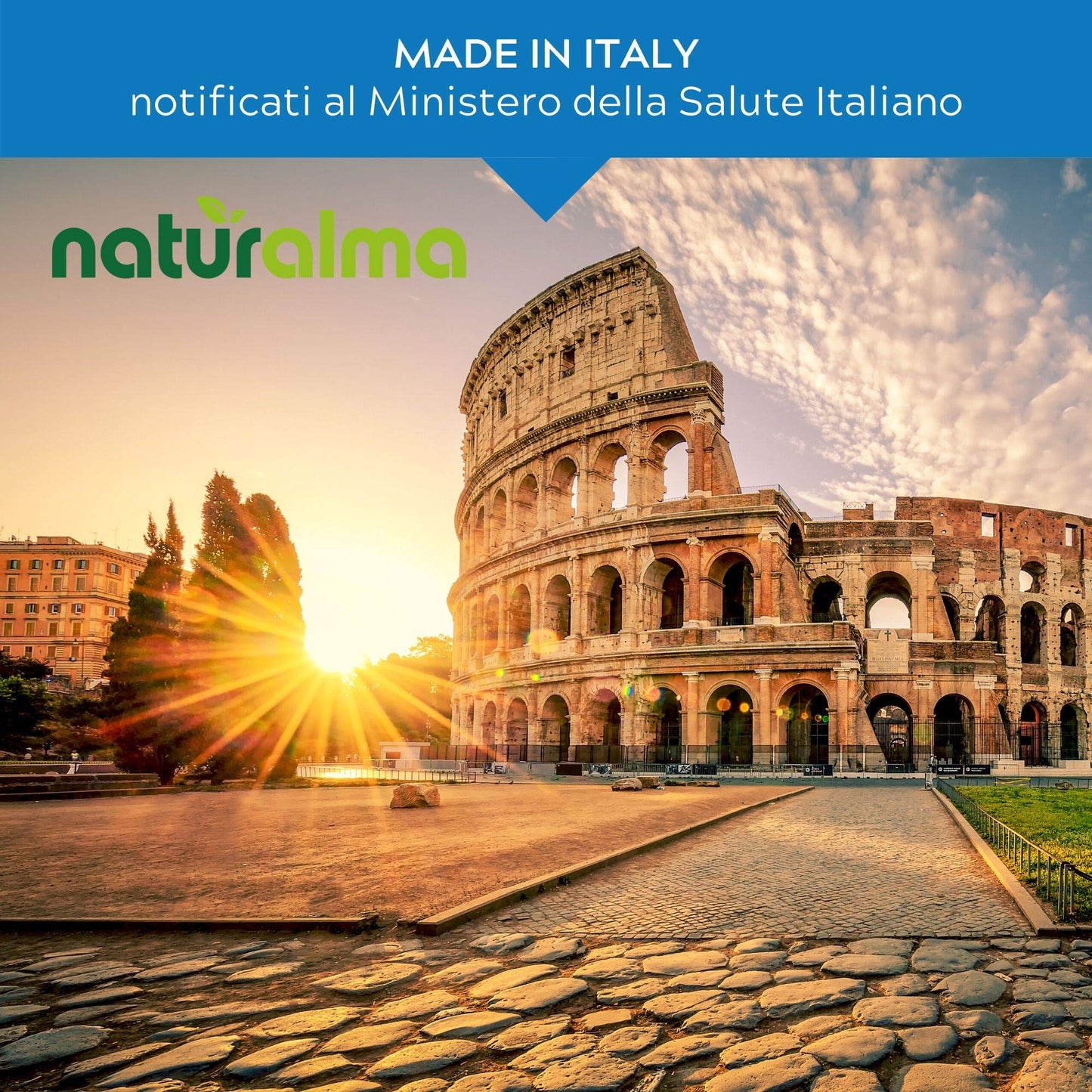 Propolis (Propolis) Resin Hydroalcoholic Mother Tincture NATURALMA | Liquid Extract Drops 120 ml | Food Supplement