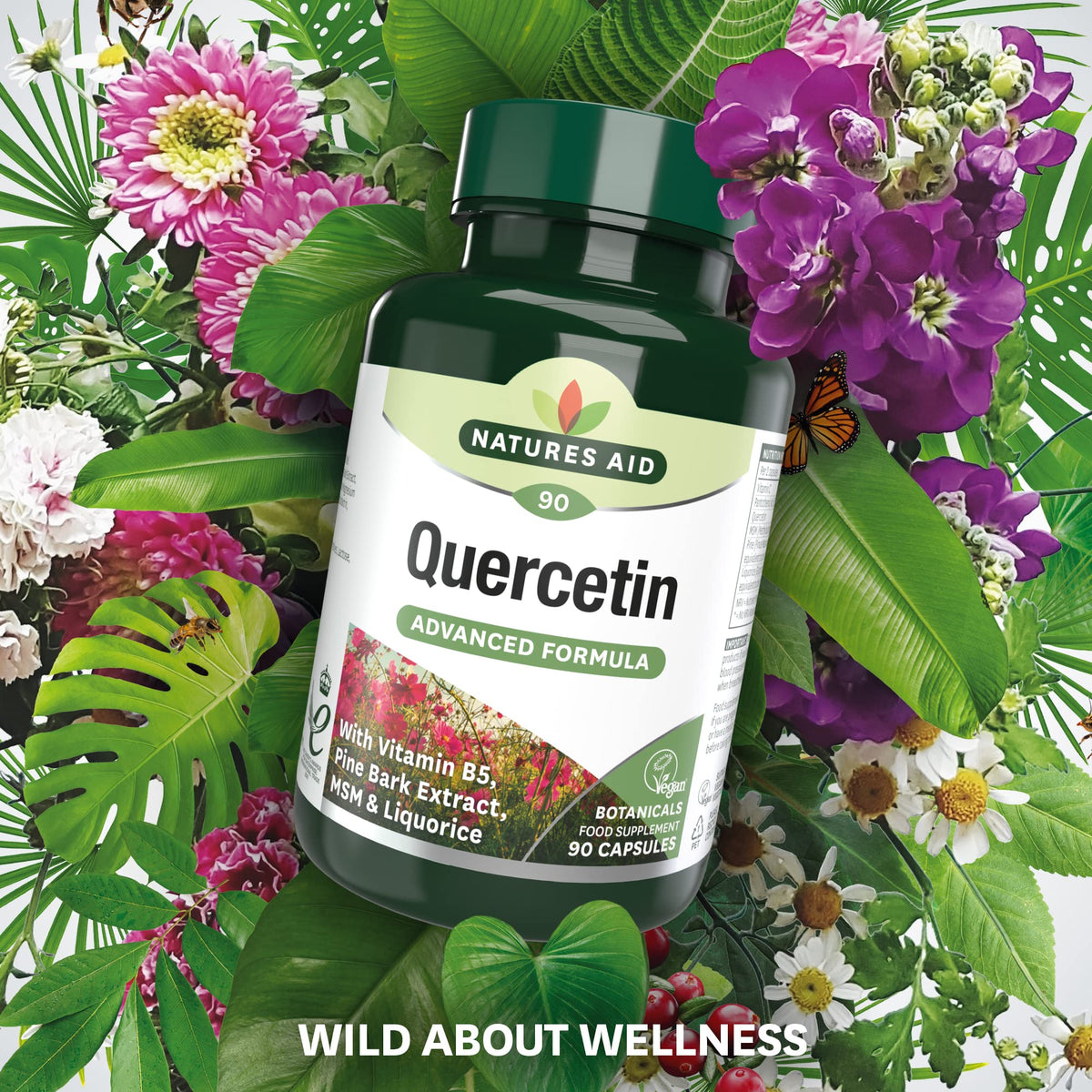 Natures Aid Quercetin Formula – Immune Support Supplement with Vitamin C, B5, MSM, Pine Bark & Liquorice – Supports Energy & Wellbeing High Strength Antioxidant – 90 Vegan Capsules