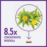 New Chapter Rhodiola Force 300mg with Potent Vegan Rhodiola for Mental Focus & Stamina, Endurance + Mood Support + Stress Adaptogen + Non-GMO Ingredients - 30 Count