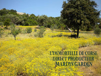 MARDYS GARDEN Immortelle Face Cream 50ml. Rejuvinating. Made from Precious Organic Flowers and Essentials Oils. Serum for Day. Hydrates & Revives