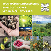 Botanico Vida Omega Oil, 125ml. The 100% Natural Body Oil for Stretch Marks, Scars, Dry Skin. Clinically Proven Skincare