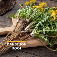 ALPHA01 Organic Dandelion Root 1400mg – 120 Vegan Capsules – High Strength Taraxacum Officinale (2 Months Supply) – Resealable and Recyclable Pouch by Alpha01