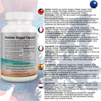 Ayushya Medohar Guggul Capsule, 60 Capsules, Natural